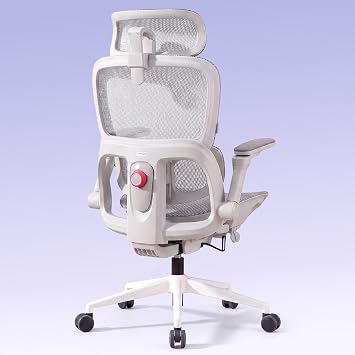 SIHOO B300 Pro Ergonomic Office Chair, Adaptive Lumbar Support, Soft White