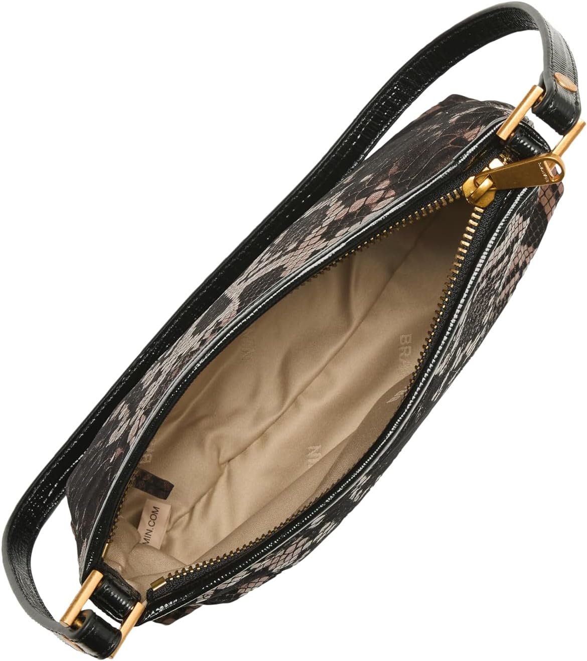 BRAHMIN Lorelei