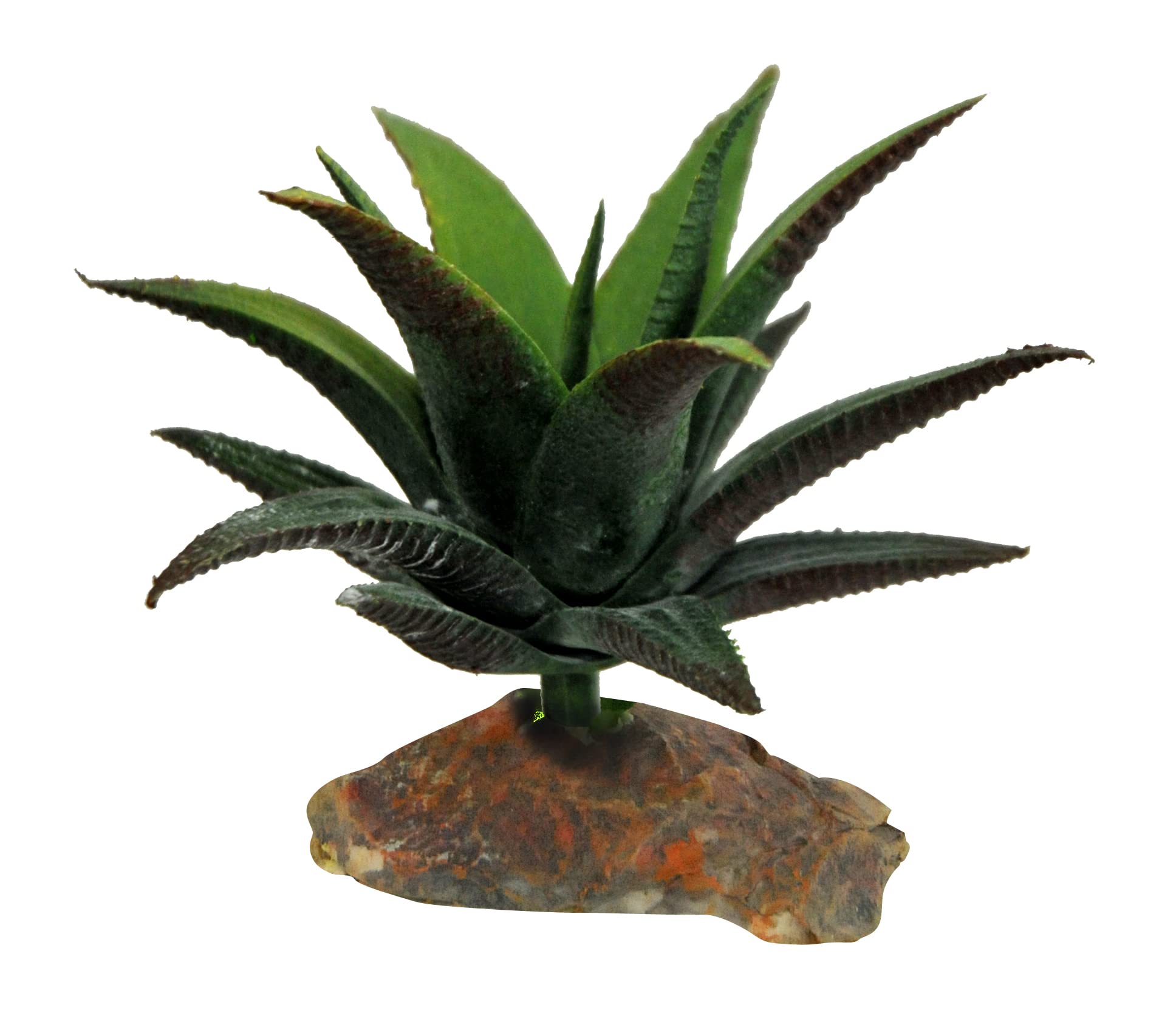 Lucky Reptile 64690 Succulent Decoration for Terrariums 140 g