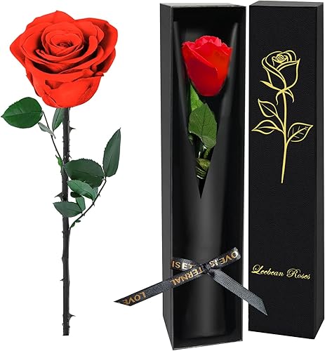 Single Forever Roses Luxury Gift for Women/Men, Birthday Gifts for Women,Flowers Gifts for Girlfriend,Wife,Mom,Anniversary,Valentine's Day,Wedding,Graduation,Presents for Her,Red
