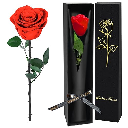 Single Forever Roses Luxury Gift for Women/Men, Birthday Gifts for