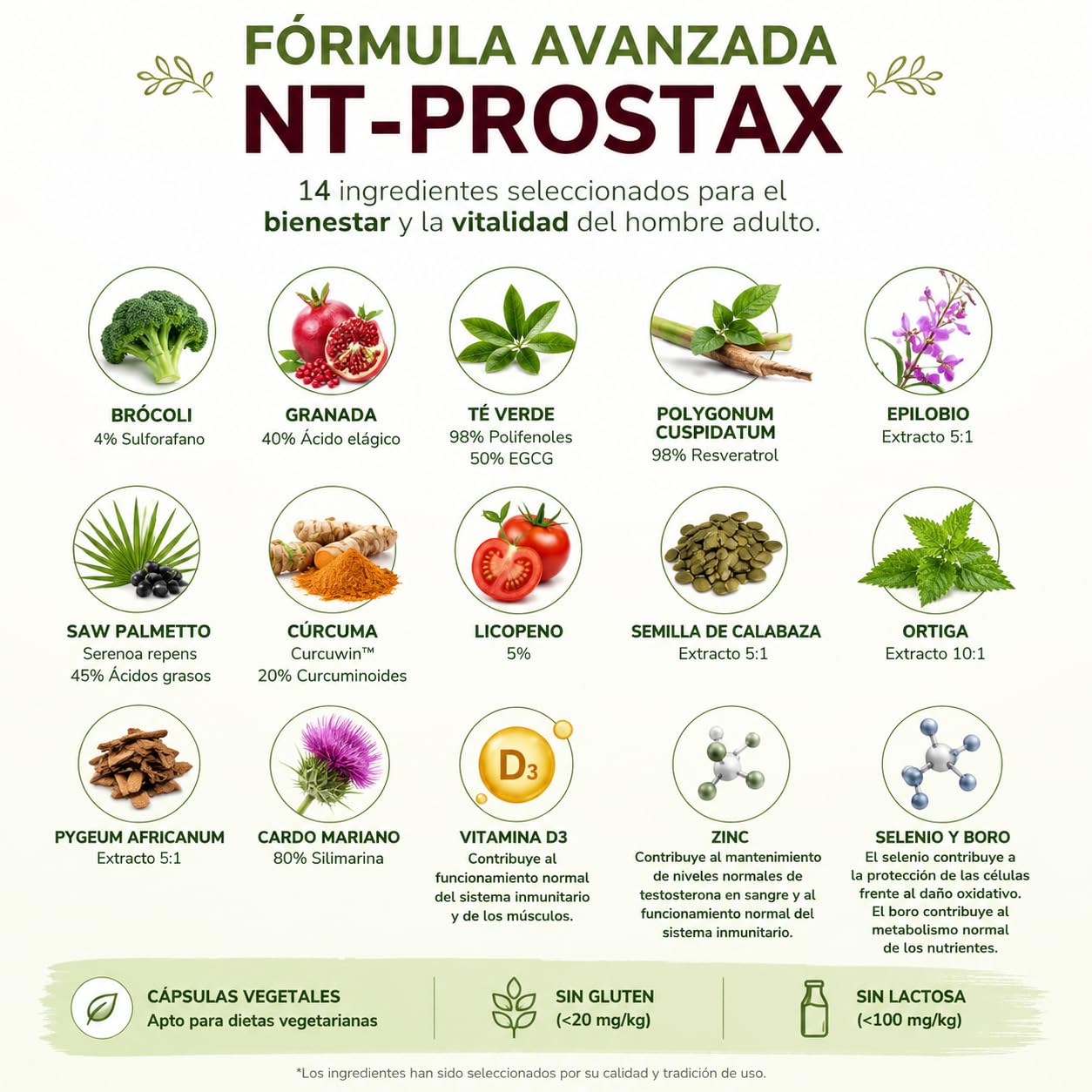 NT-Prostax | Saw Palmetto, Pygeum y Epilobio | Próstata 60 caps | Zinc, selenio, ortiga, calabaza y extractos vegetales para hombres adultos 40+