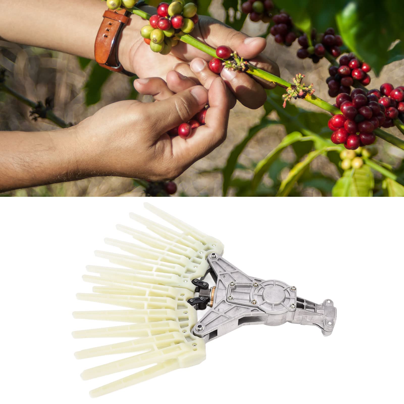 Harvester Head, professionista 26 mm9 dente acciaio pettine adatto per cacao olive raccolto strumento strumento che raccoglie accessori da giardinaggio sostitutivo