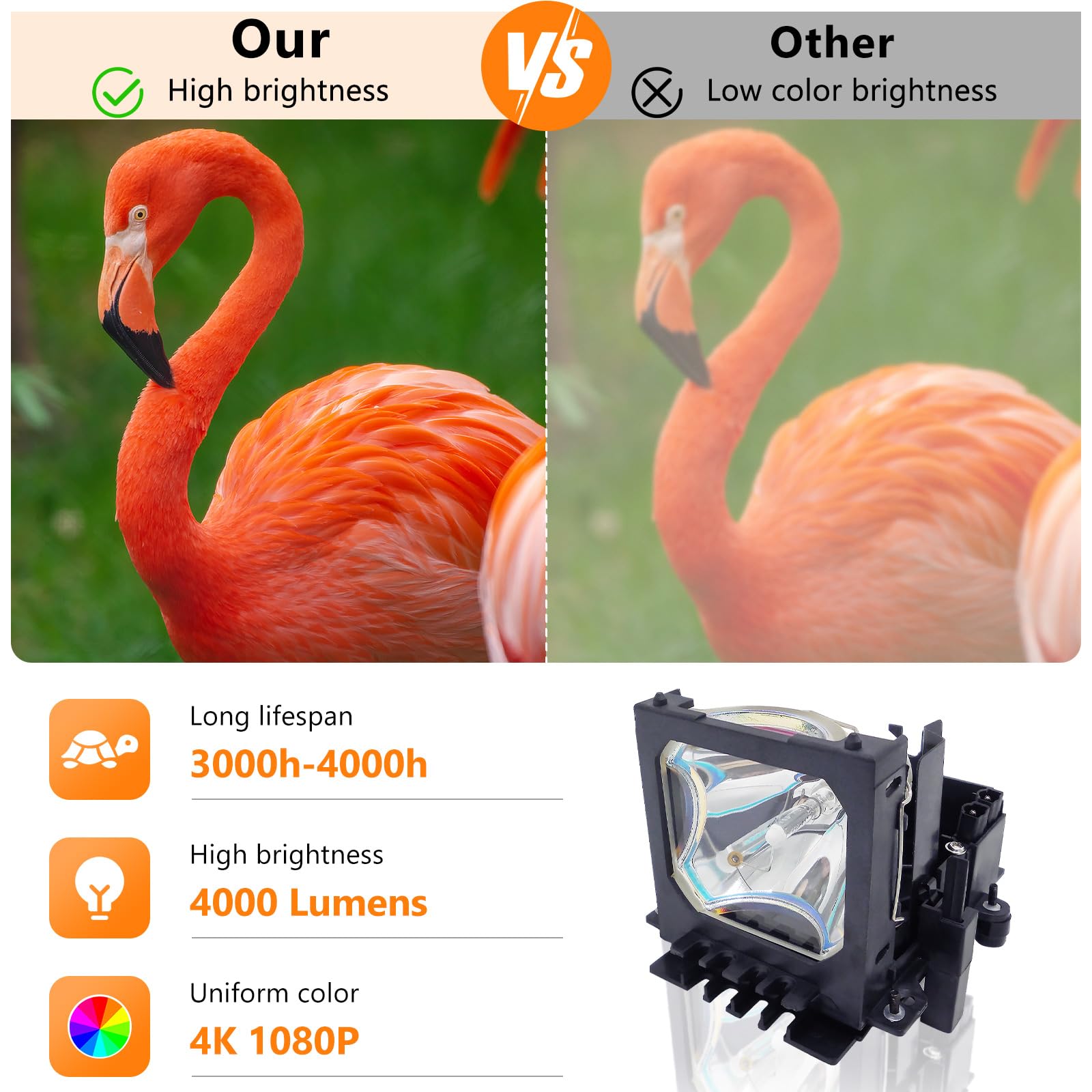 GOLDENRIVER DT00731 Replacement Projector Lamp With Housing Compatible With Hitachi Cp Hx2075 Cp S240 Cp S245