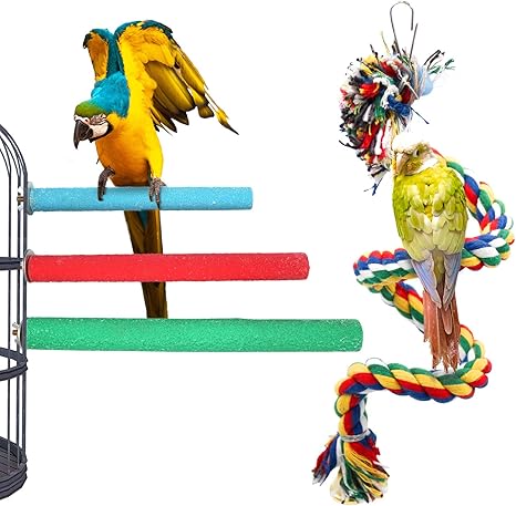 amazon bird accessories