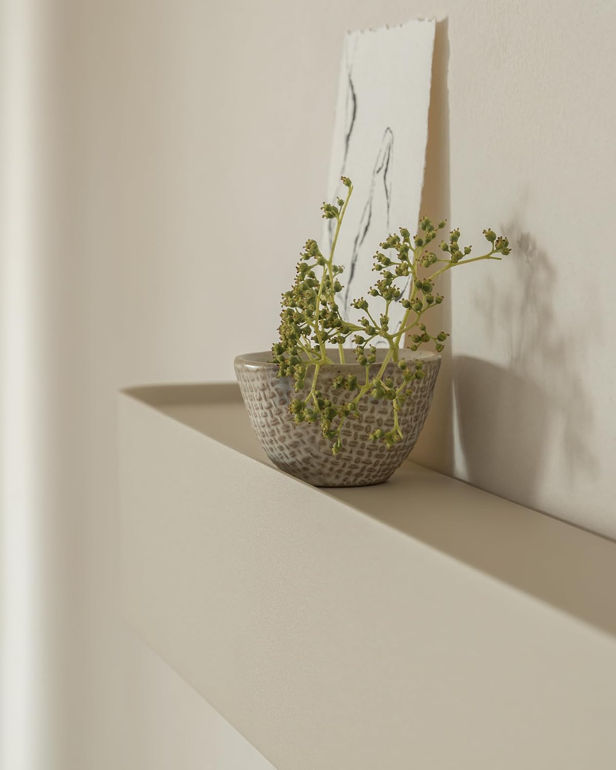 kazai.® coat rack wall mount with shelf 'tone' | modern design coat hanger with hidden hooks and storage | hat rack with shelf in metal | wall-mounted purse organizer | taupe taupe 6 hooks