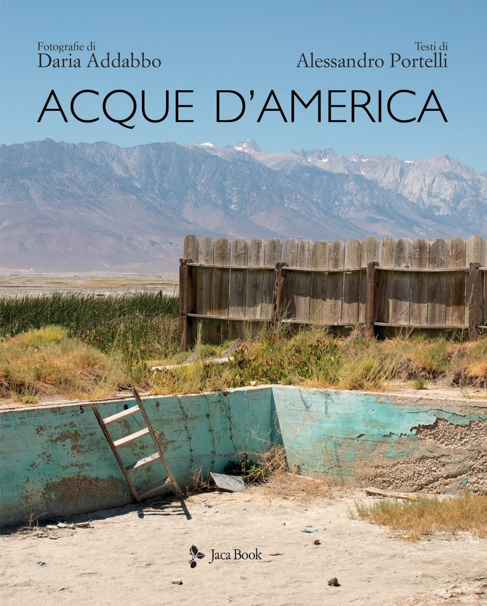 Livre Acque d'America. Ediz. a colori pour Déco de Salon et Table Basse