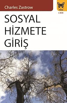 Sosyal Hizmete Giri