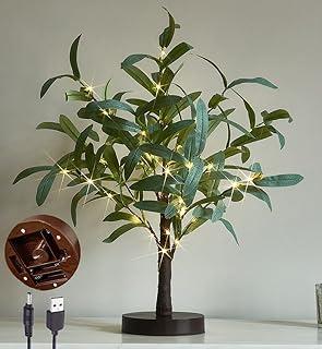 LITBLOOM Lighted Tabletop Olive Tree 18IN 50 LED Fairy Lights with Timer Battery Operated or USB Plug in Bonsai Tree for Wedding Christmas Spring Home Decoration