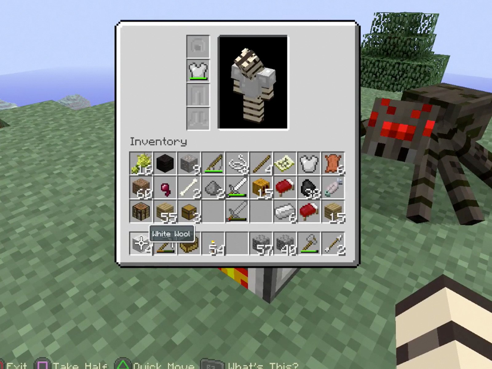 Watch Clip: Sneaky Stripes (Minecraft Gameplay) - Zebra Gamer | Prime Video