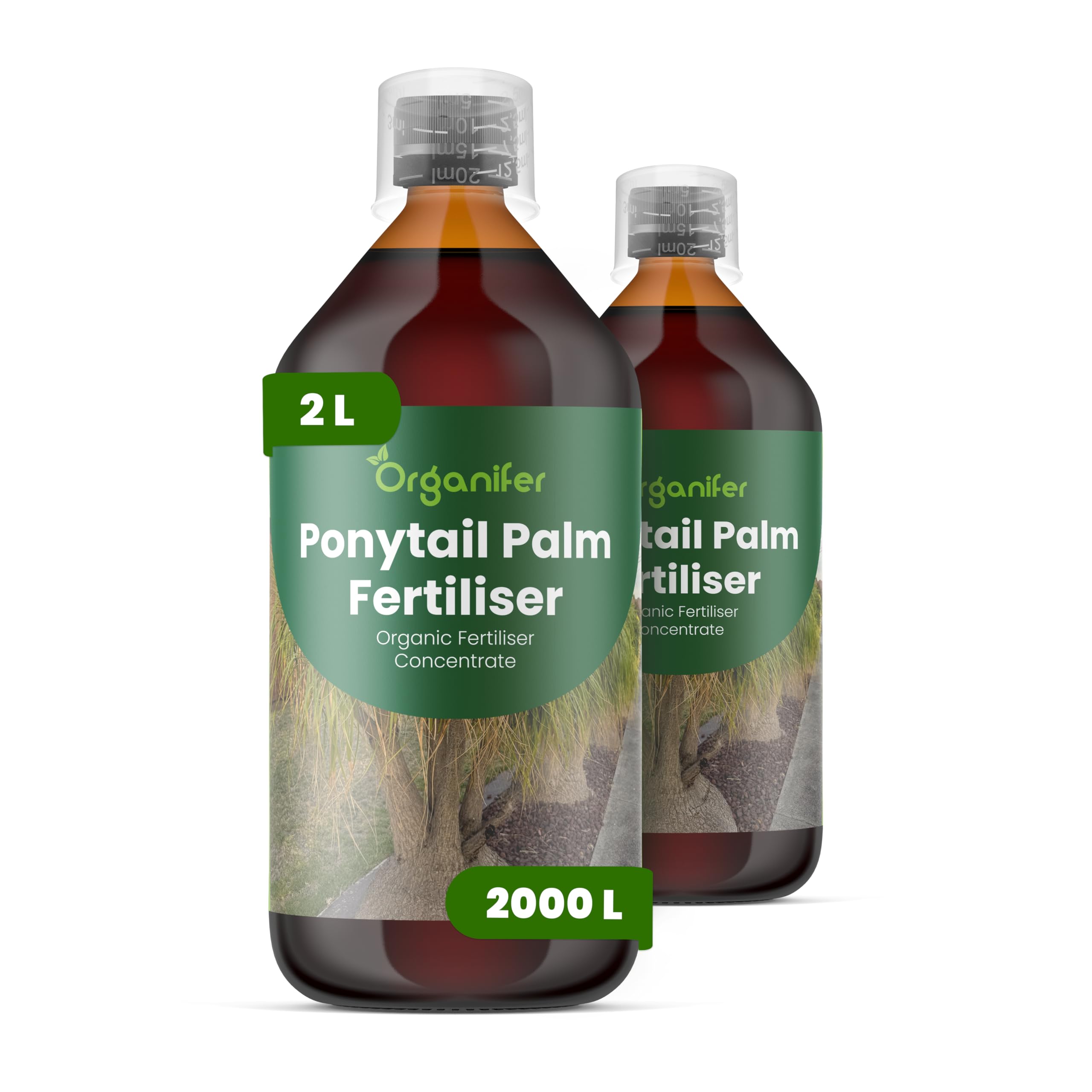 Fertilizante Líquido - 2x1L - Para Pie De Elefante - NPK 2-1-8 | Crecimiento Saludable Y Plantas Sanas - Organifer