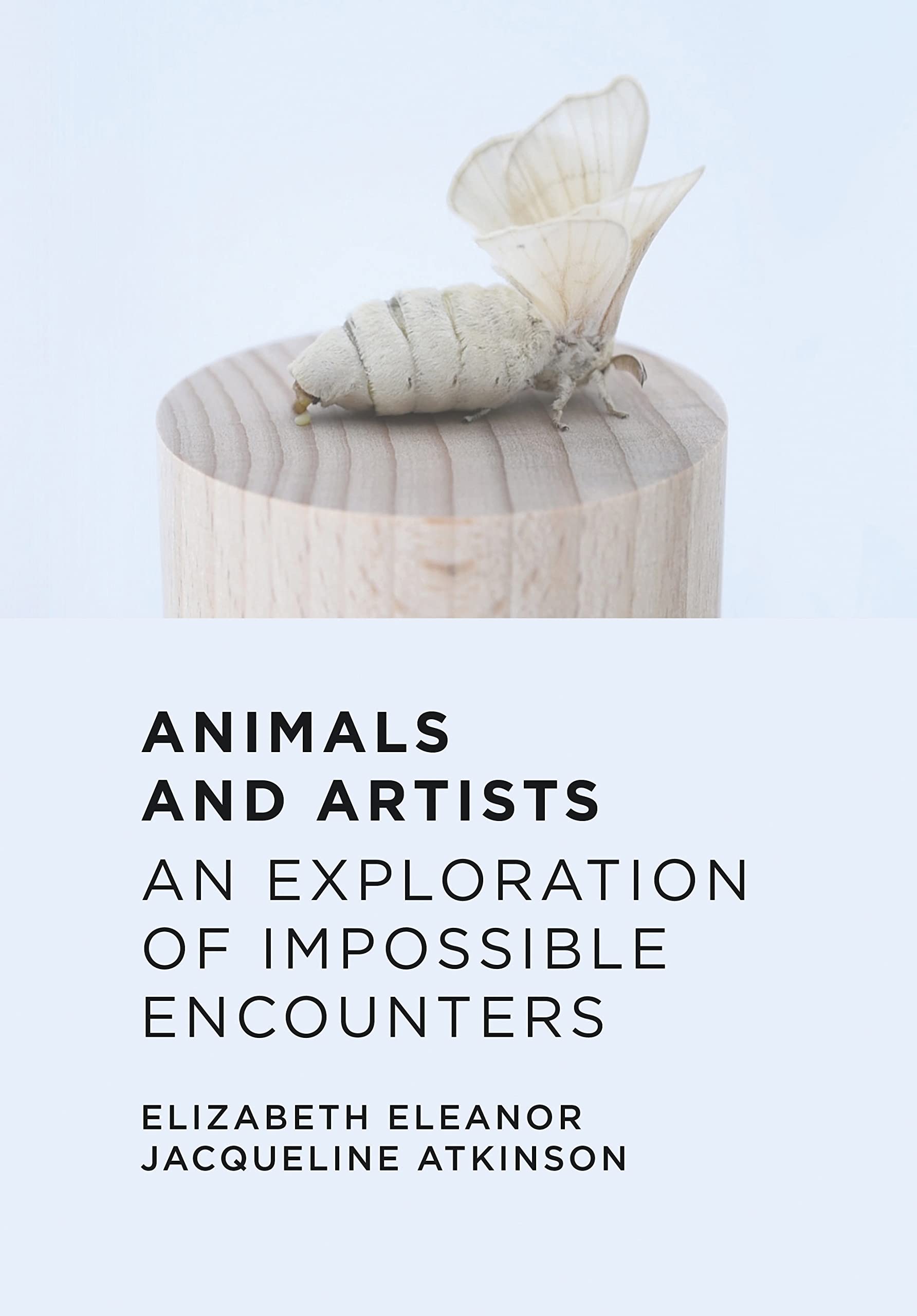Animals and Artists exploration impossible encounters art history english book