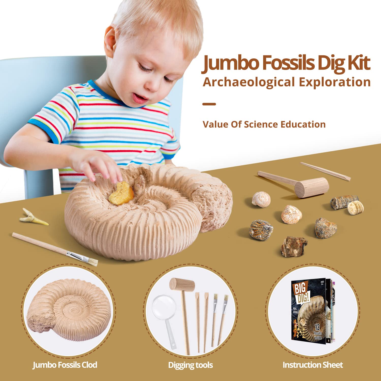 Byncceh Kit di Scavo Fossili per Bambini – Scopri 12 Fossili Veri in un Grande Blocco di Gesso | Gioco Educativo STEM per Bambini da 6 a 12 Anni Giovani Esploratori