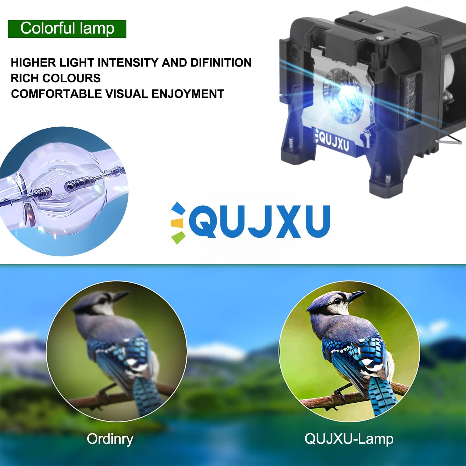 ELPLP89 Replacement Projector Lamp for Epson V13H010L89 Powerlite Home Cinema 5040ub 5040ube 5050ub 5050ube 4010 4000 pro Cinema 4050 6040ub 6050ub eh-tw7300 tw8300 tw8300w Projector lamp Bulb