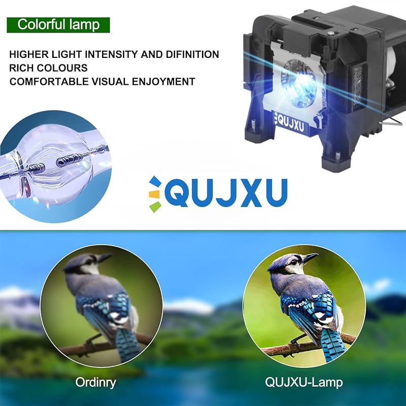 ELPLP89 Replacement Projector Lamp for Epson V13H010L89 Powerlite Home Cinema 5040ub 5040ube 5050ub 5050ube 4010 4000 pro Cinema 4050 6040ub 6050ub eh-tw7300 tw8300 tw8300w Projector lamp Bulb