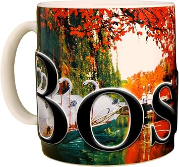 Americaware Boston 18 oz Color Relief Coffee Mug