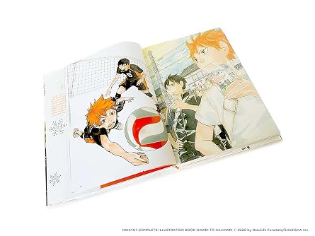 The Art of Haikyu!!: Endings and Beginnings