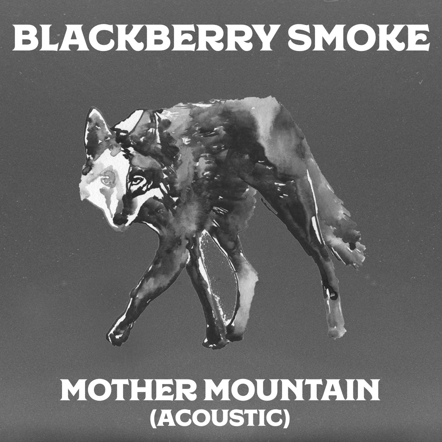 Blackberry Smoke, Oliver Wood