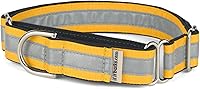 Vista 1 de If It Barks Collar Martingala reflectante de 1" para perros, ajustable, fabricado en Estados Unidos, pequeño, oro amarillo