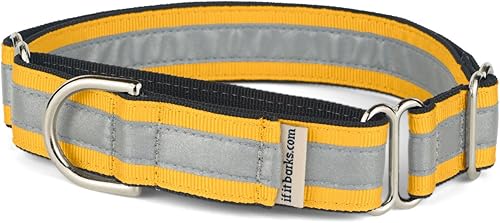 If It Barks Collar Martingala reflectante de 1" para perros, ajustable, fabricado en Estados Unidos, pequeño, oro amarillo