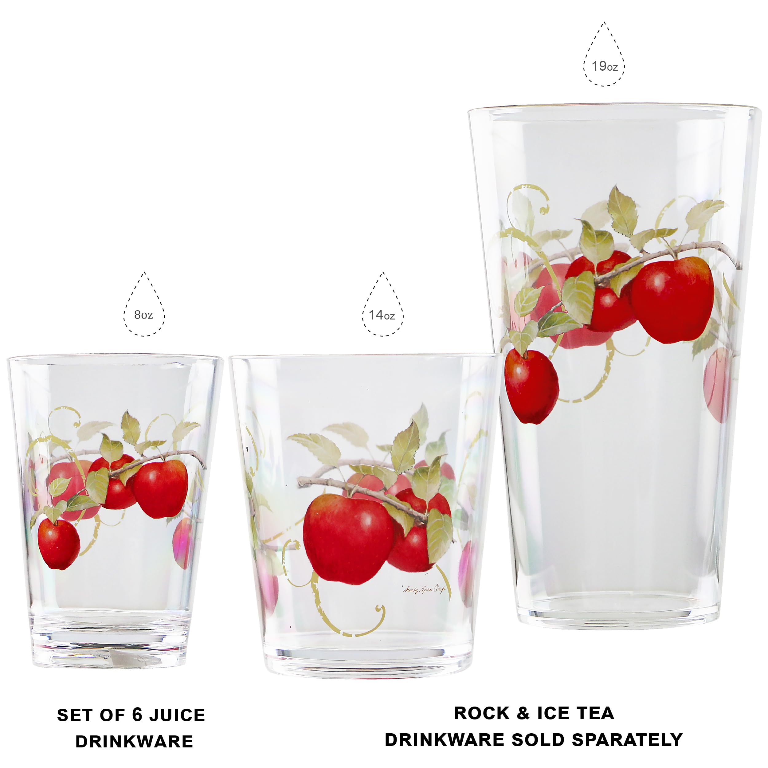 Reston Lloyd Harvest Apple Rock Glasses - Set of 6 -4
