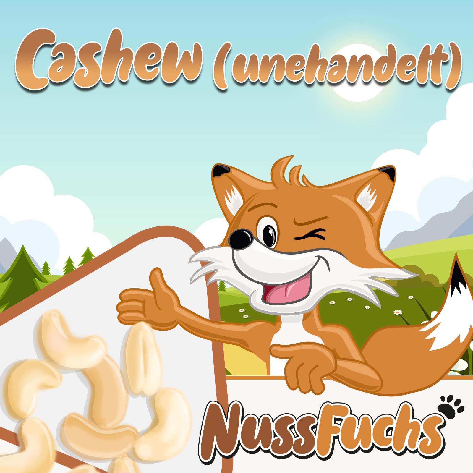 Cashewkerne Natur 3kg – naturbelassen ungeröstet ungesalzen | Knackige ganze Cashew Kerne ohne Bruch | Cashewnüsse ohne Zusätze in Rohkostqualität – im Eimer