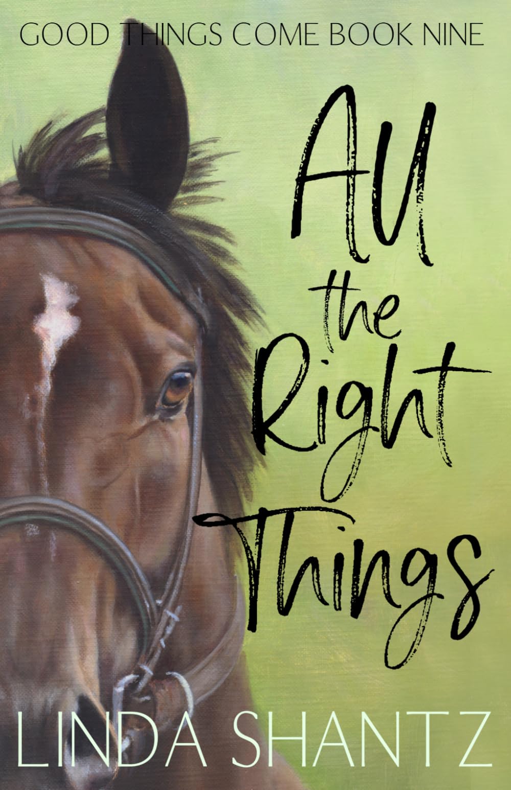 All The Right Things: (Good Things Come Book 9)