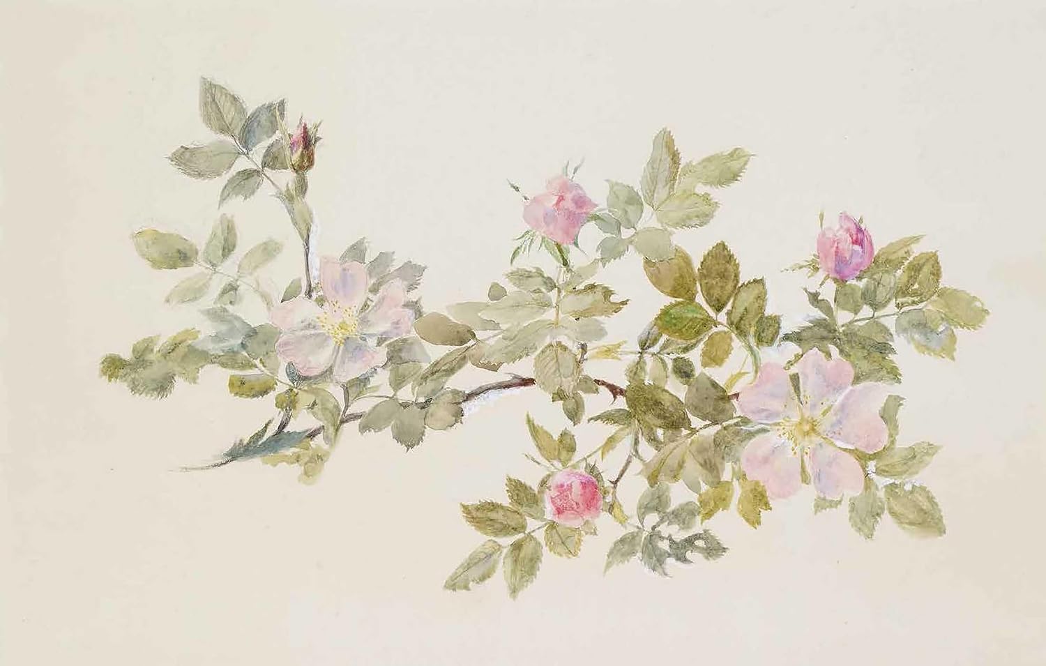 In Bloom: How Plants Changed Our World (Exhibition Catalogue)