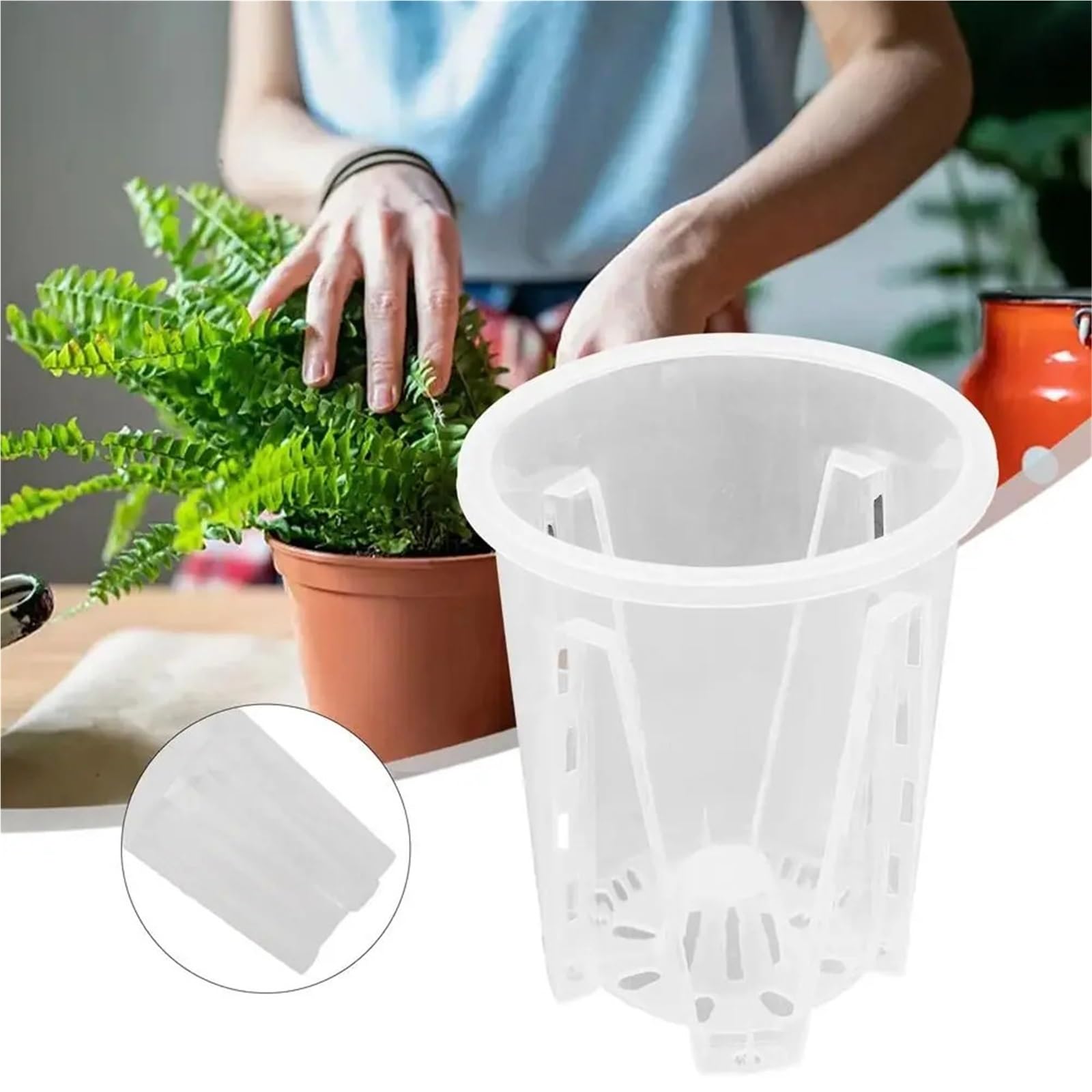 Przezroczyste plastikowe rośliny Doniczki przezroczyste 10-16 cm, 5 szt. Do storczyków i roślin doniczkowych(With Tray,16cm)