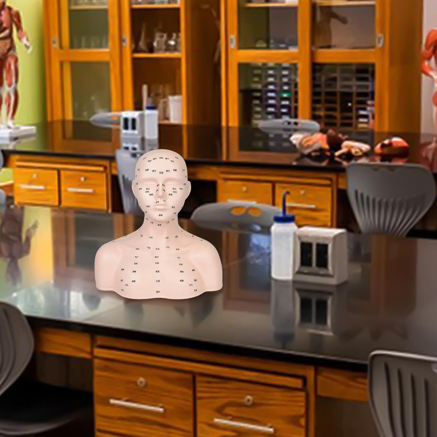Mannequin Head with Shoulders Multipurpose Lightweight Manikin Head Model with Acupressure Point for Home Travel