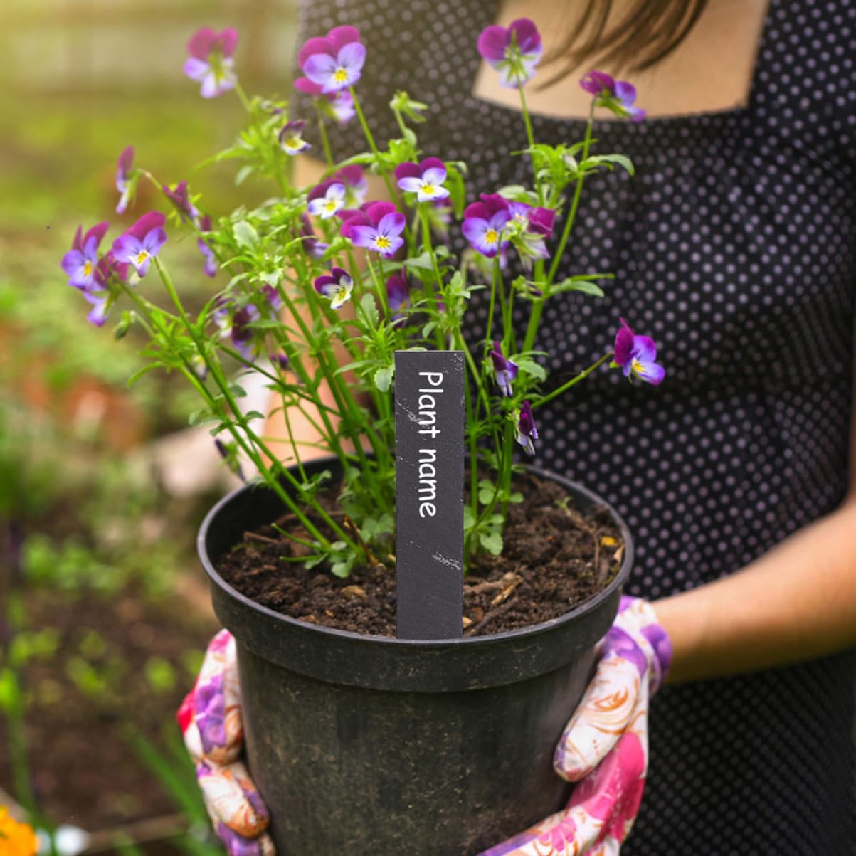 Kisangel Étiquettes pour Plantes Accessoires de Jardin Décorations Végétales 12 Pcs Étiquettes en Pierre Réutilisables pour Jardin et Fleurs