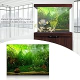 Ver la foto 6