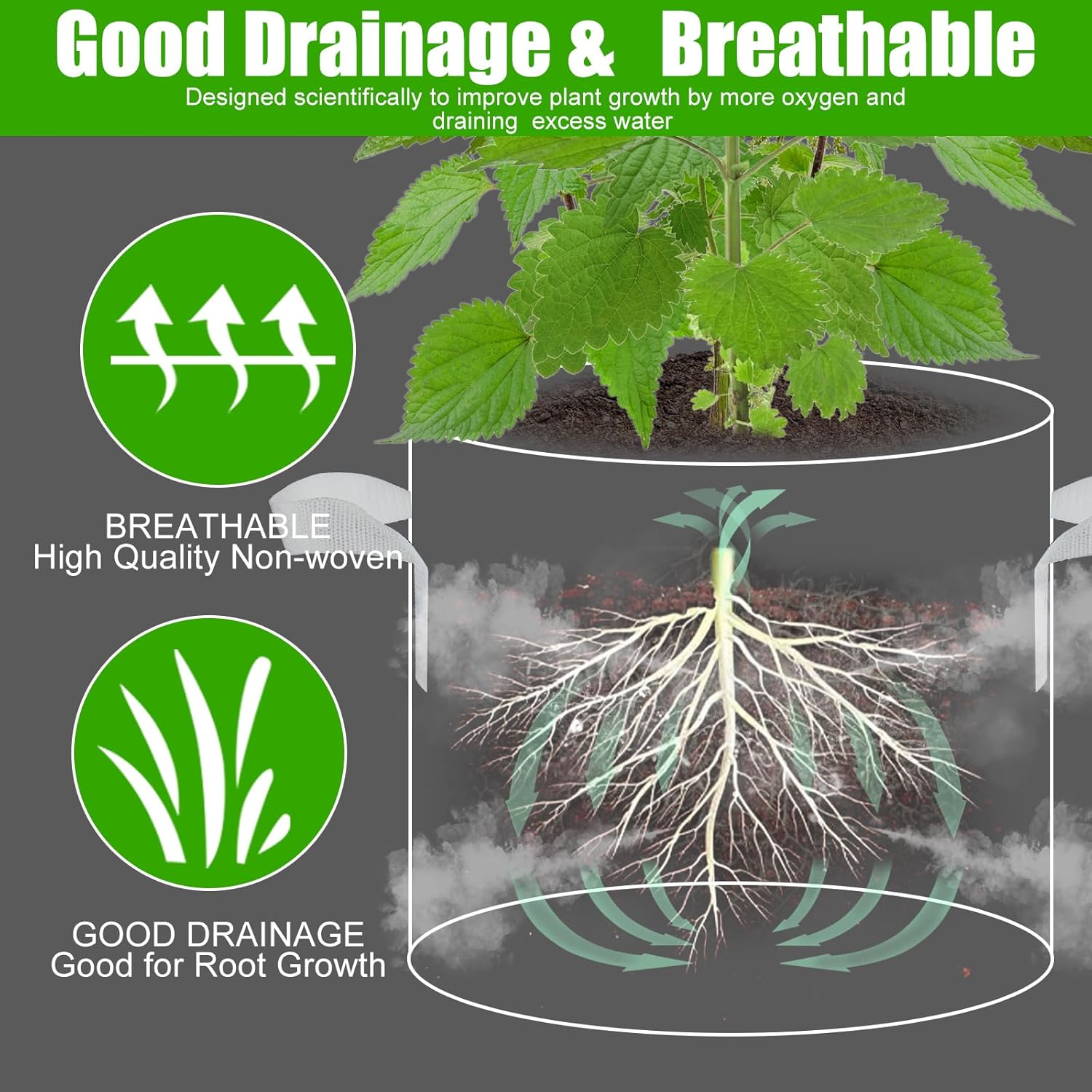 6-Pack Fabric Grow Bags 10 Gallon – Colorful 300G Thickened Nonwoven Planter Pots with Sturdy Handles, Breathable Garden Bags for Vegetables, Potato, Flowers