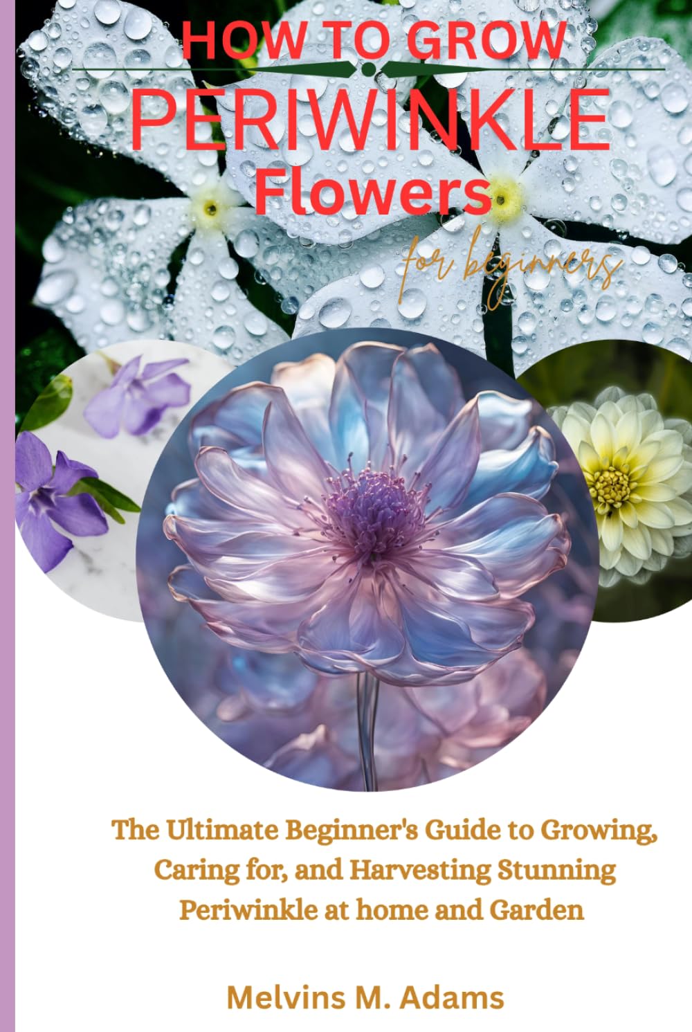 How to grow periwinkle flowers for beginners: The Ultimate Beginner’s Guide to Growing, Caring for, and Harvesting Stunning Periwinkle at Home and garden