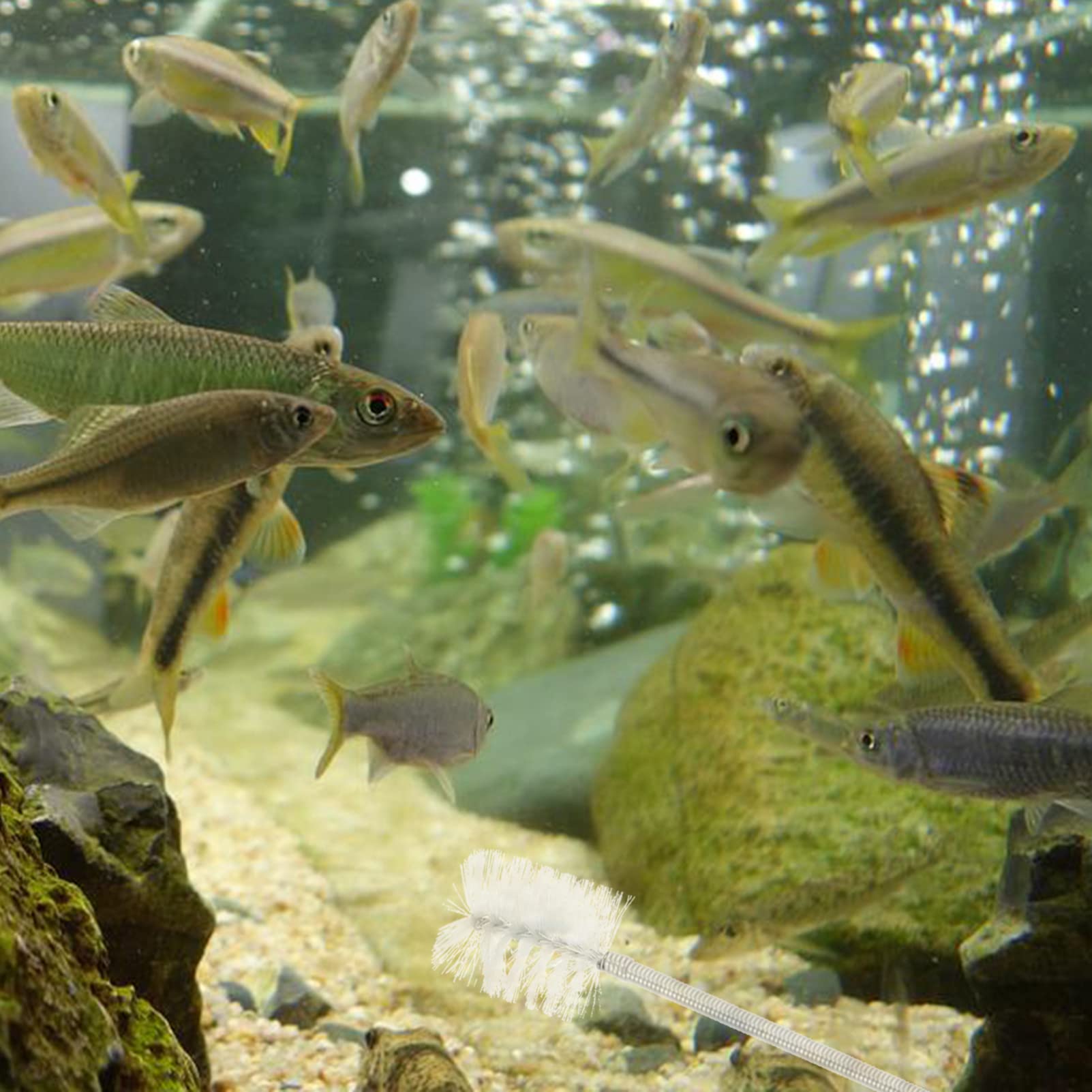 POPETPOP 5 Piezas Cepillo De Manguera Limpieza De Tubos Limpiador De Tubos Cepillo Para Pecera Limpiador De Mangueras Para Peceras Limpiapipas Acero Inoxidable Acuario Cepillo De Pipa
