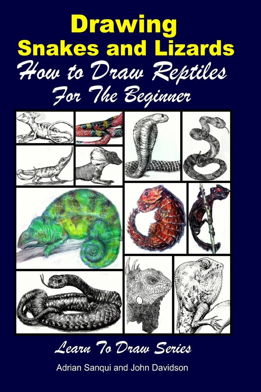 Drawing Snakes and Lizards - How to Draw Reptiles For the Beginner