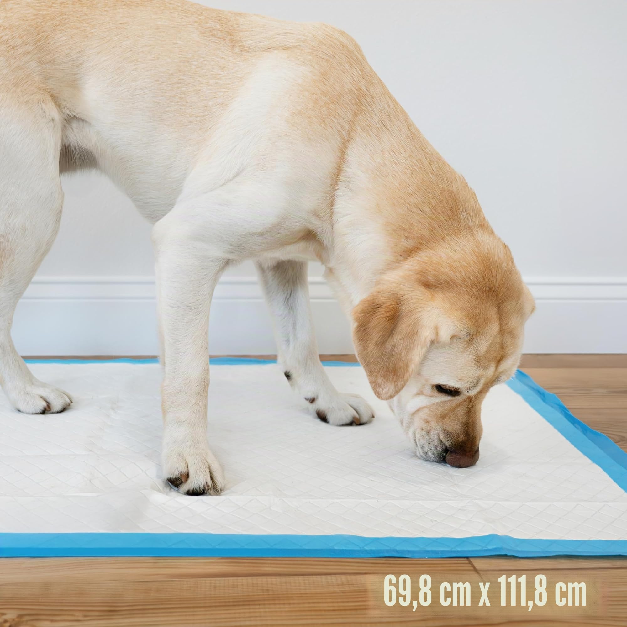 Four Paws Wee-Wee - Almohadillas para orina Grandes sin Perfume de Rendimiento Superior para Perros y Cachorros, Acolchadas a Prueba de Fugas, protección del Suelo, 27.5 x 44 Pulgadas, 18 Unidades
