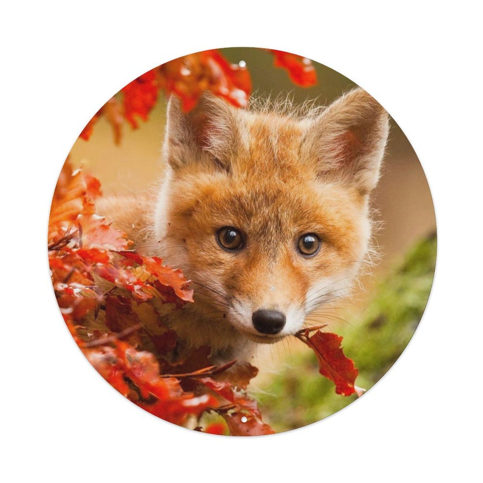 Habitat Animal Poster Fox Cubs Autumn Forest Metal Tin Sign