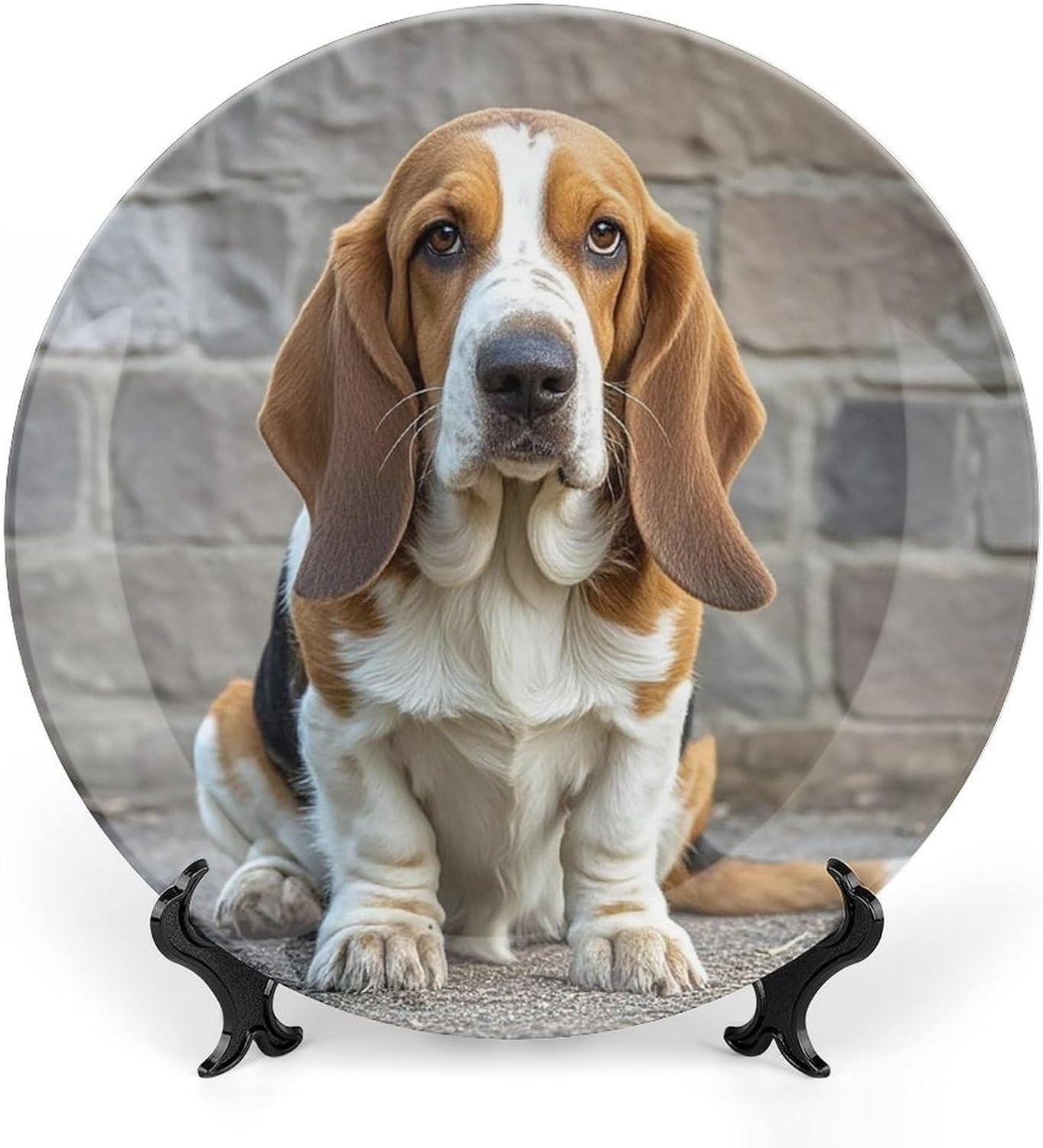 Basset Hound Ceramic Plate 10inch Decorative Bone China Wall Hanging Ornament Plates Bohemian Style Dinner Plate with Display Stand Cabinet Display Plates for Home Art Decor