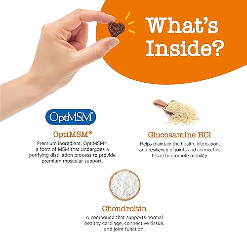 Miniatura 4 de Zesty Paws Mobility Bites Suplemento para articulaciones de perro, masticables de cadera y articulaciones para perros, productos para mascotas con