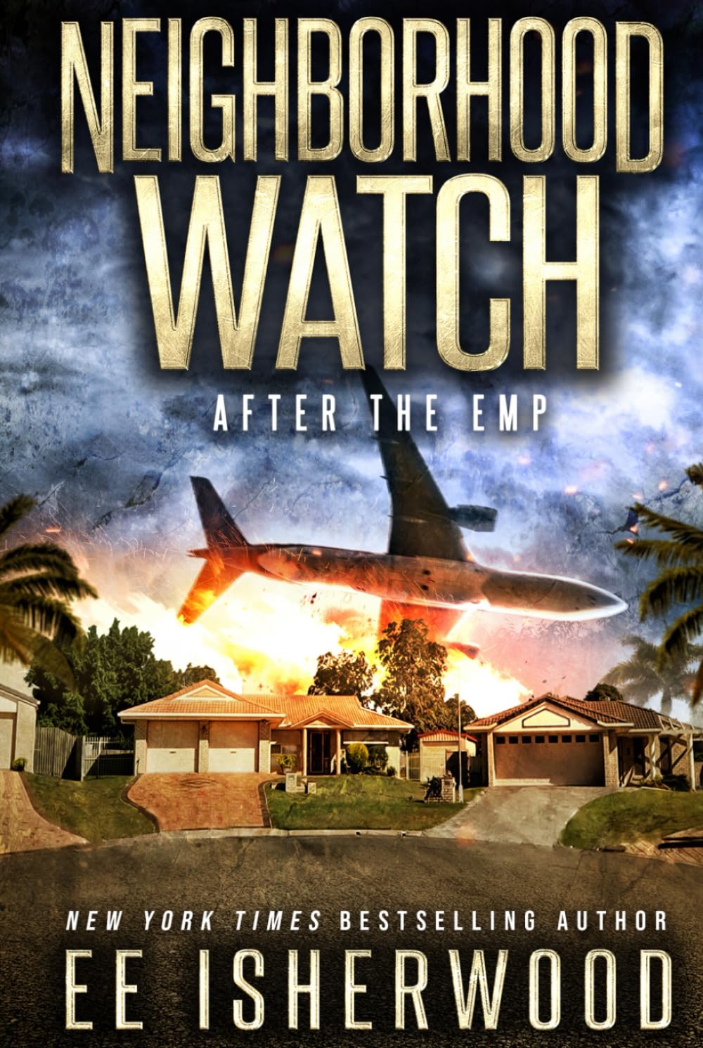 Neighborhood Watch: After the EMP