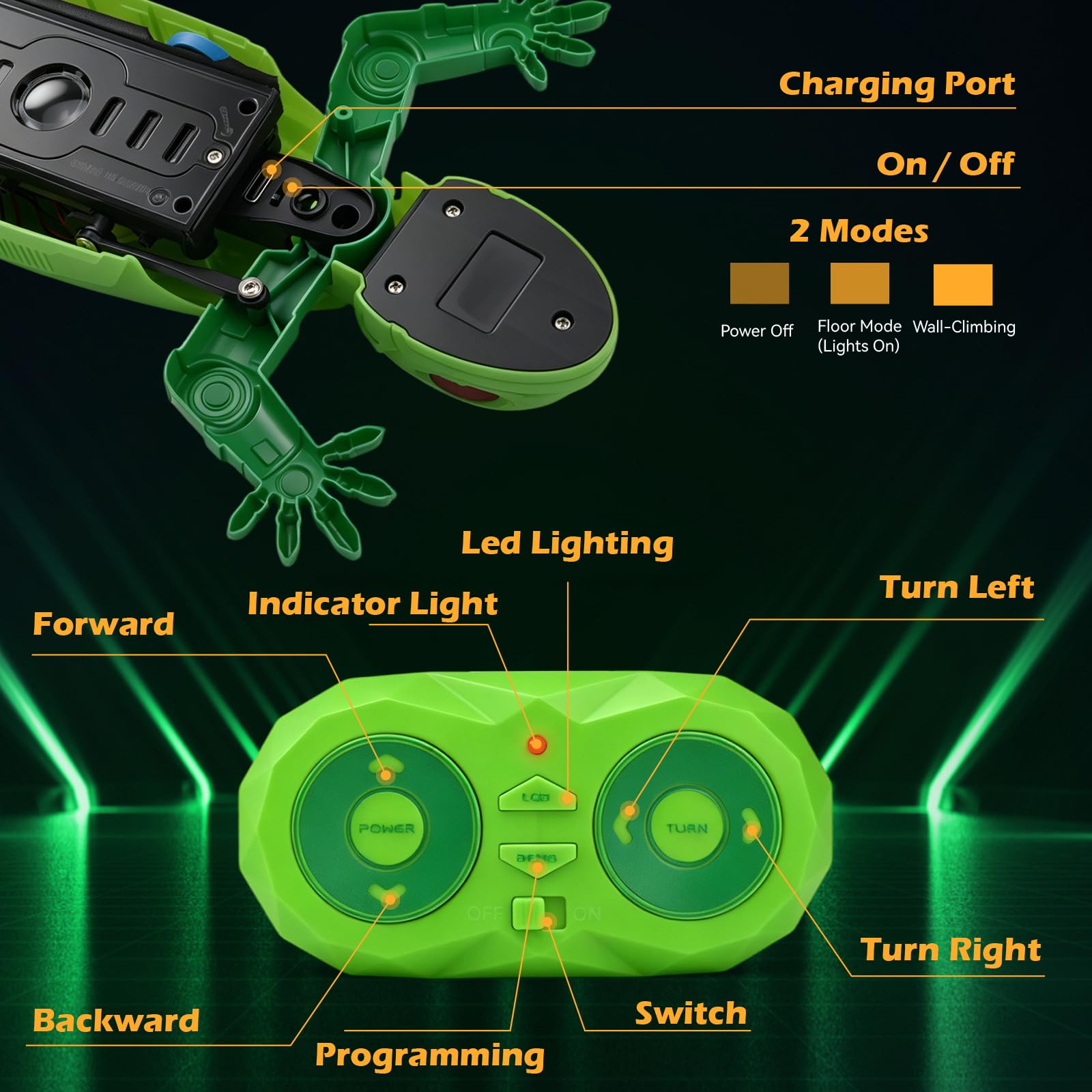 Gecko Radiocommandé avec Éclairage Dorsal, Nouveau Lézard Grimpeur – 9 Modes de Lumière, Jouet RC Gecko pour Enfants