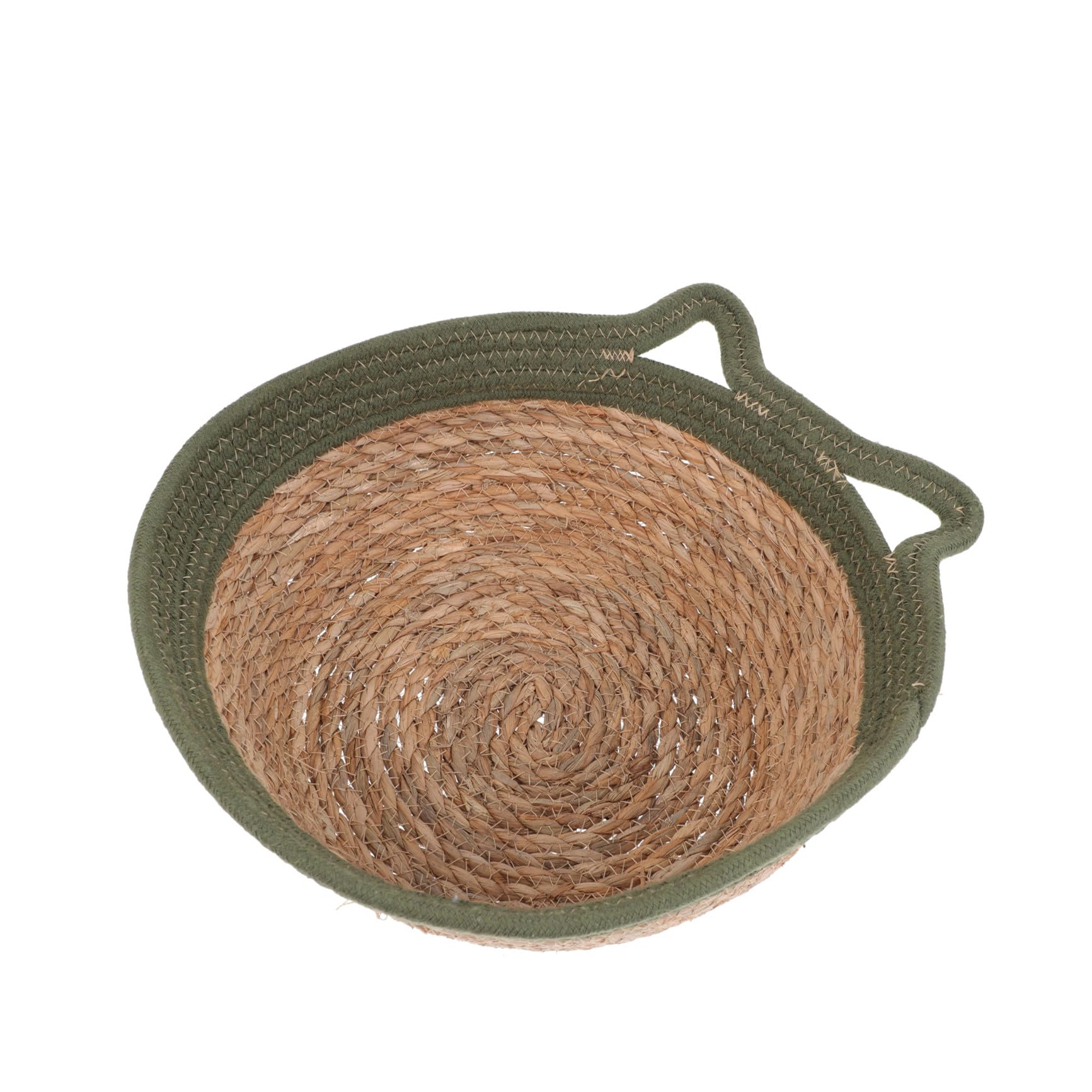 Chat tressée pour animaux taille moyenne de marque TOYANDONA design simple pour usage quotidien