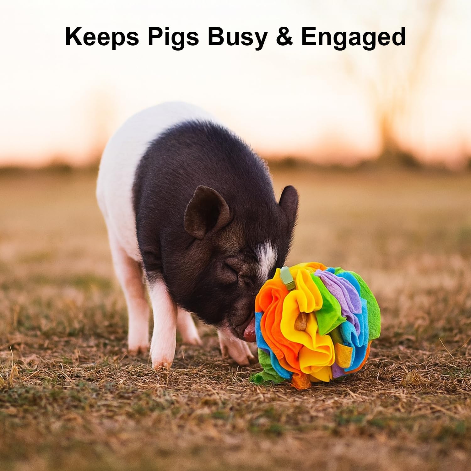 Pig Snuffle Mat and Snuffle Ball for Pigs – Pig Enrichment Toys for Mini Pigs, Potbellied Pigs & Farm Use – Interactive Foraging & Rooting Toy, Slow Feeding Pig Toys Accessories image 4