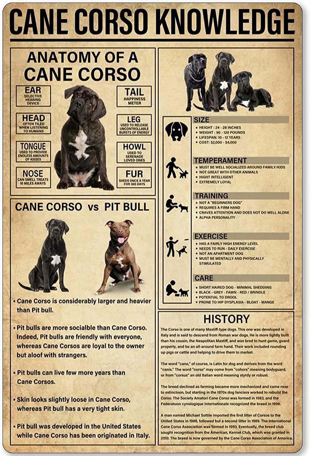 Fjqwklf Cane Corso Knowledge Cane Corso Metal Tin Signs Poster Plaque Dog Lovers Home Hanging Decor Farm Pet Shop Wall Decoration Gift 12X16inches