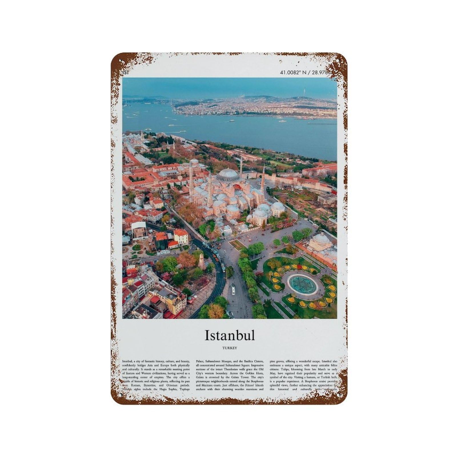 xiaoxiaoshen Istanbul Turkey City Scenery Wall Decor Art Metal Tin Poster Modern Home Decor Art Home Bar Shop Decorations Vintage Sign 30x20cm
