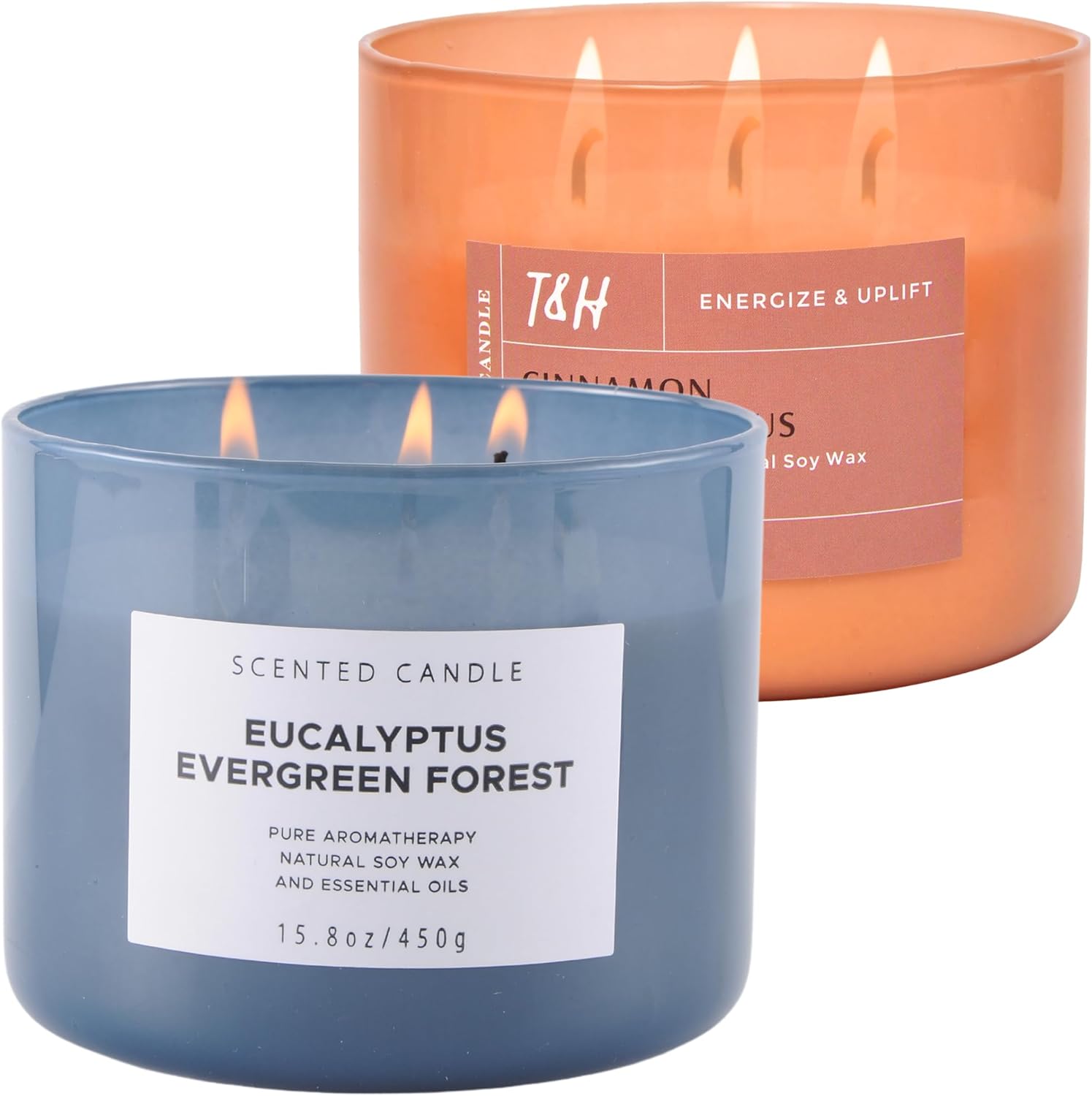 Eucalyptus Evergreen Forest and Cinnamon Clove Citrus 3 Wick Scented Candles Bundle | Aromatherapy Soy Candles for Women & Men, Large Scented Candles for Home Long Burning Candle Set of 2 x 15.8 Oz
