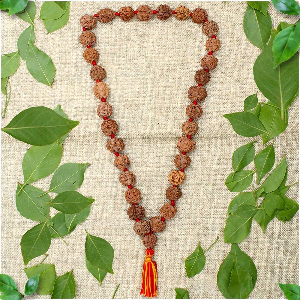 Vedic Vaani 3 Mukhi Agni Dev Manipura Chakra Rudraksh Kantha Mala from Nepal 32+1-image-35
