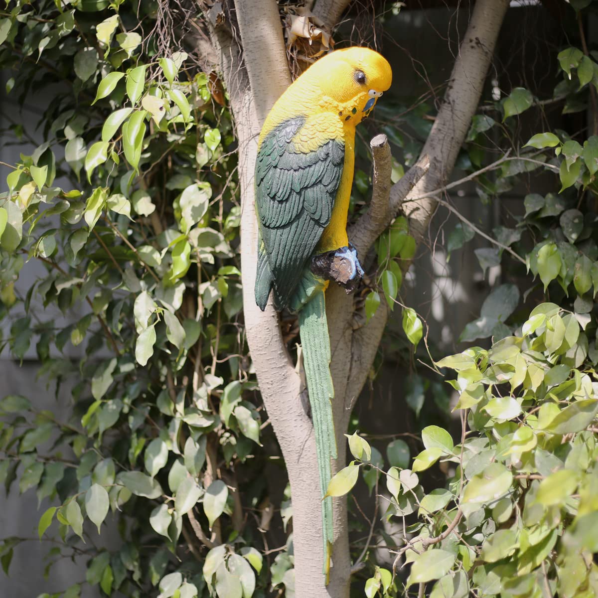 Wonderland Big Size wall Parrot Green-image-35