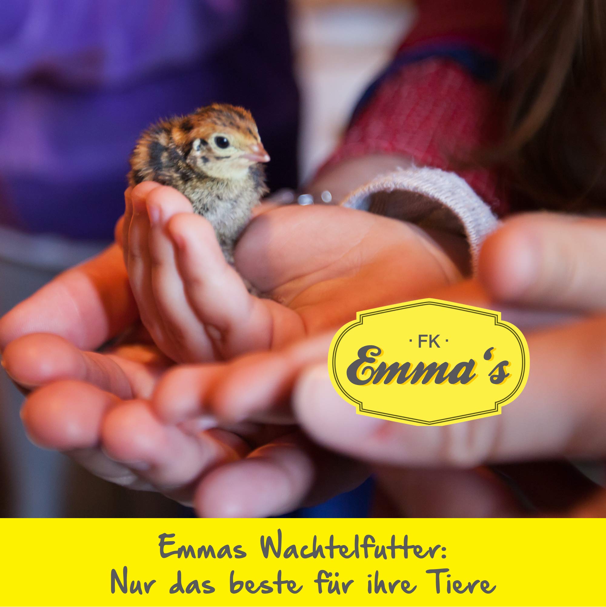 Emmas Wachtelfutter Wachteltraum Extra 20 kg Wachtel Legewachtel Geflügel | Basisfutter, Legewachteln, Körnermischung, Gentechnikfrei, Österreich